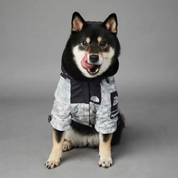 Fall dog jacket - Picture 7 of 7